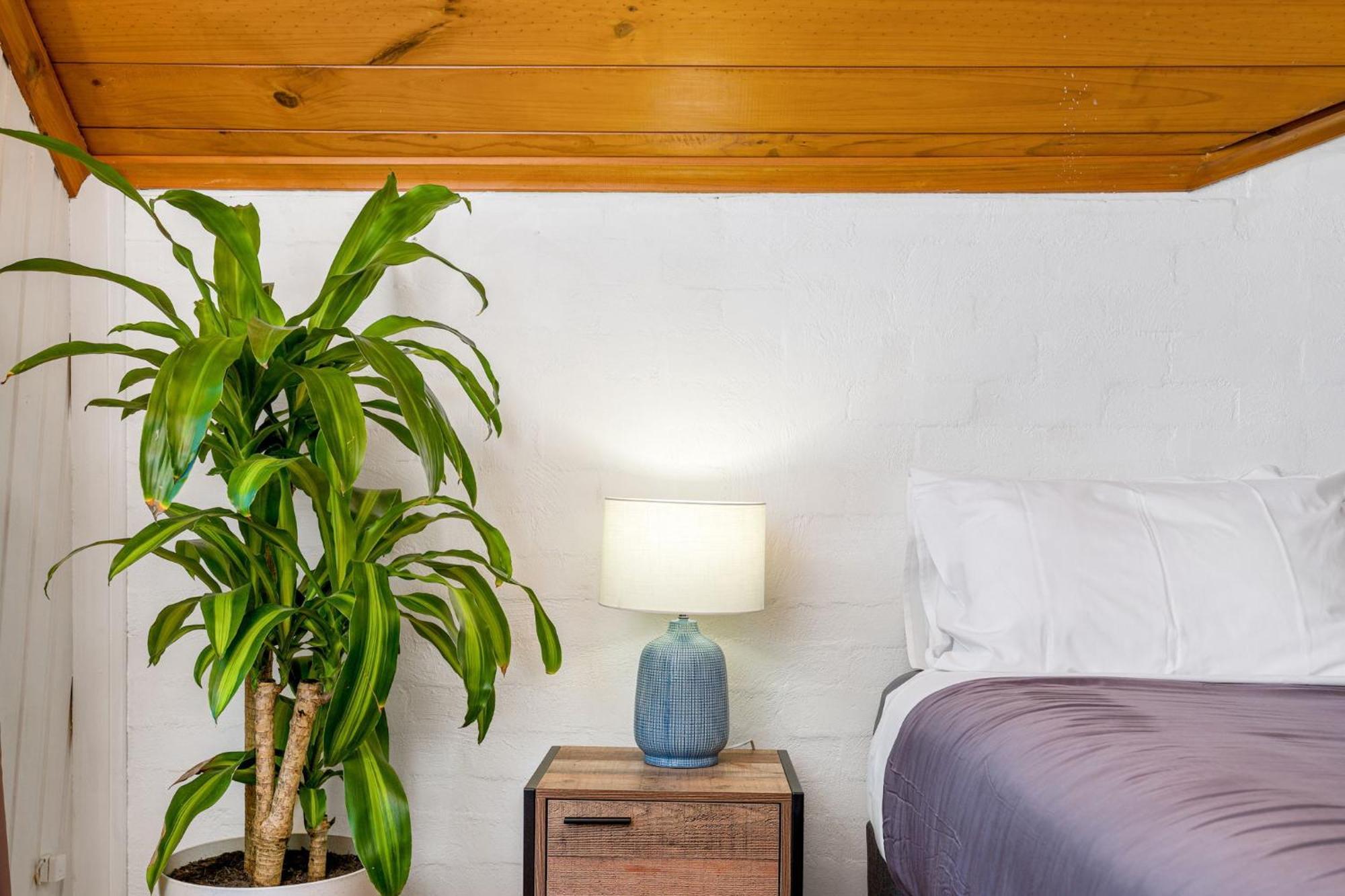 Aquarius Backpackers Resort Byron Bay Exterior foto